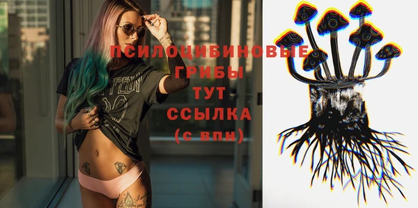 тгк Алексеевка