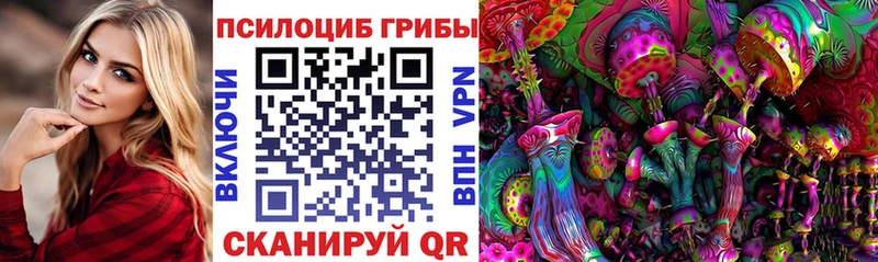 Галлюциногенные грибы Psilocybine cubensis  KRAKEN зеркало  Медынь 
